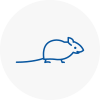 Mice Exterminators In Derby